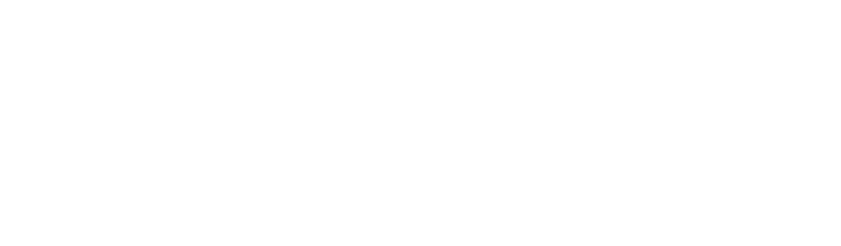 Revidacta